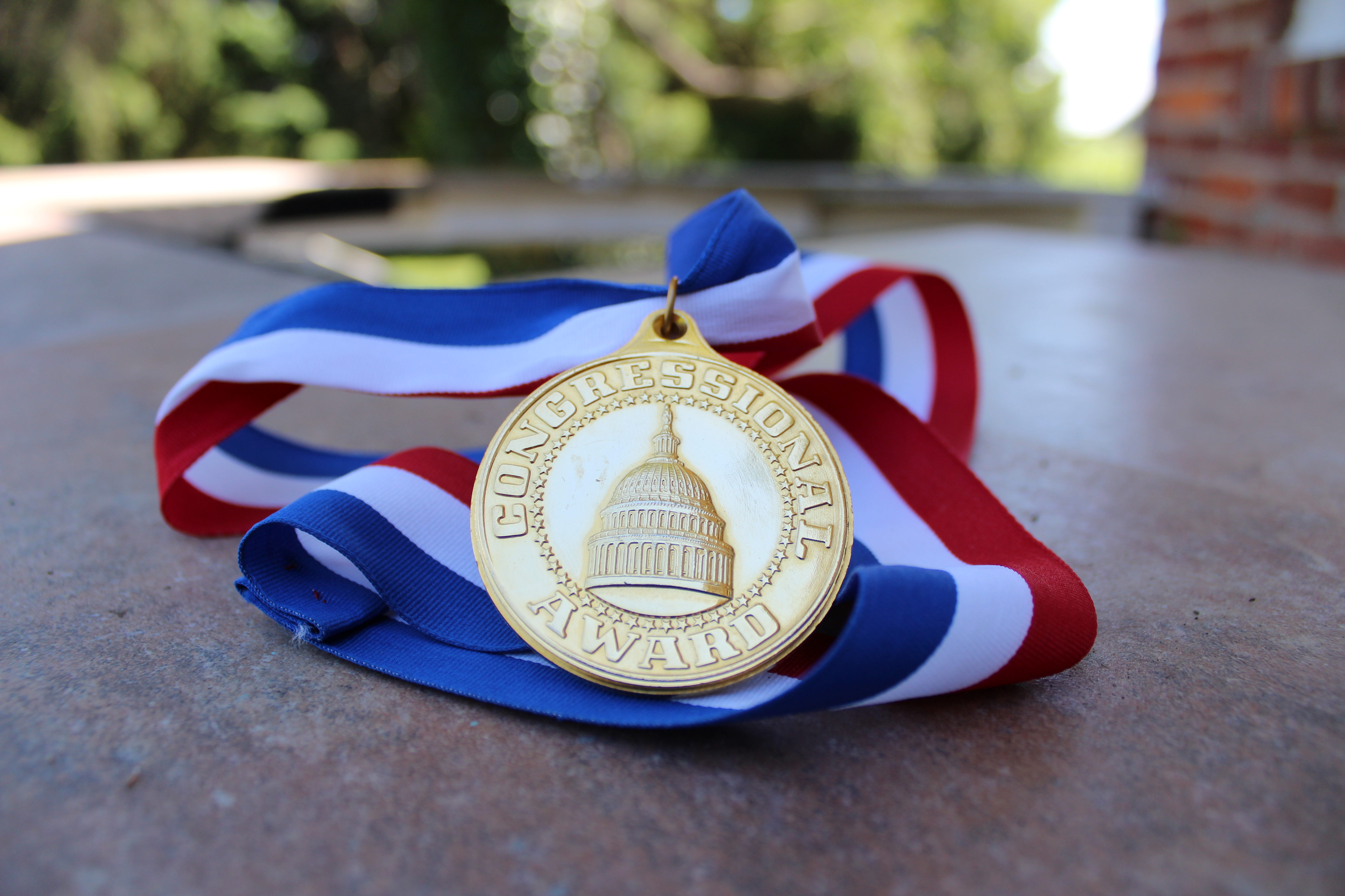 2018 Gold Medalists | Congressional Award